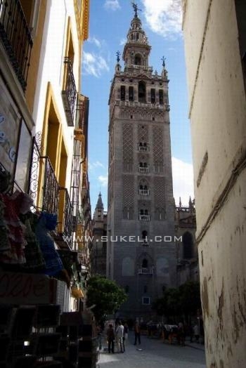 Alquiler de Apartamento - Sevilla - Sevilla - Centro - 140 €