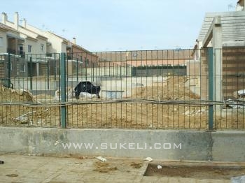 Venta de Adosado - Sevilla - Mairena del aljarafe - 300.000 €
