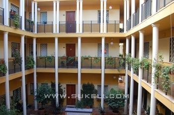 Apartment for rent - Sevilla - Sevilla - Centro - 600 €