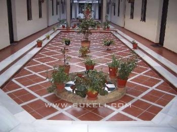 Alquiler de Apartamento - Sevilla - Sevilla - Triana - 109 €