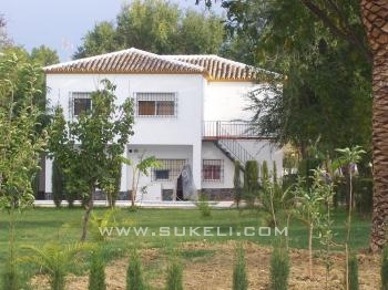 Bungalow for rent - Sevilla - El coronil - 400 €