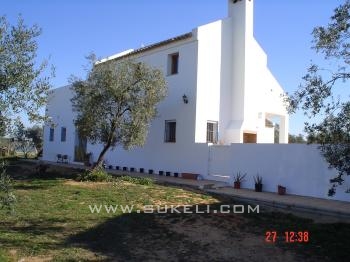 Chalet for sale  - Sevilla - Umbrete - 750.000 €