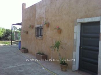 Alquiler de Casa - Sevilla - Carmona - 120 €