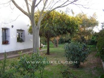 Venta de Chalet - Sevilla - Palomares del rio - 400.000 €