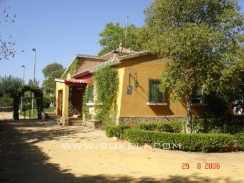 Chalet for sale  - Sevilla - Alcal de Guadaira - 720.000 €