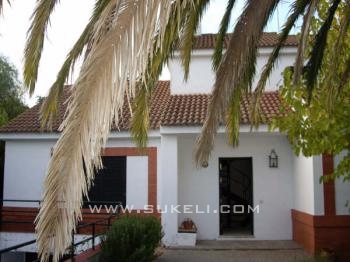 Apartment for rent - Sevilla - Sevilla - Centro - 600 €