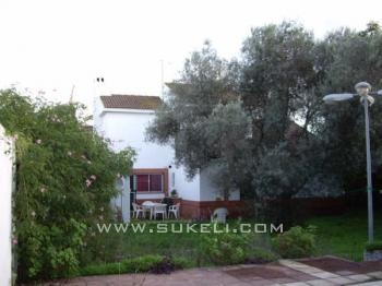 Apartment for rent - Sevilla - Sevilla - Centro - 600 €