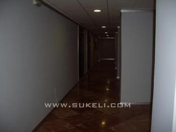 Alquiler de Oficina - Sevilla - Sevilla - Parque maria luisa - 640 €