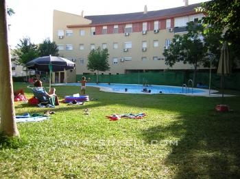 Flat for sale  - Sevilla - Alcala de guadaira - 190.000 €